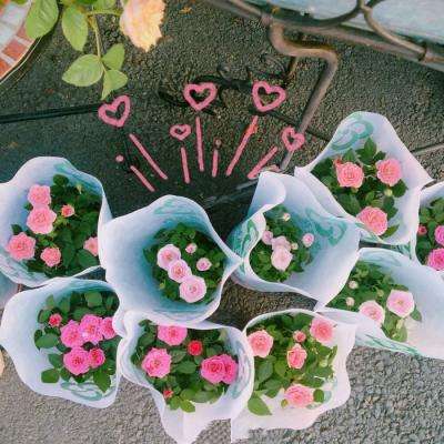 kdpay钱包下载安卓版