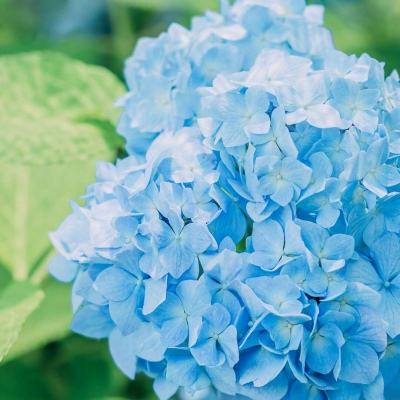 b体育官方入口在线登录网站