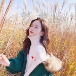 kdpay钱包下载安卓版